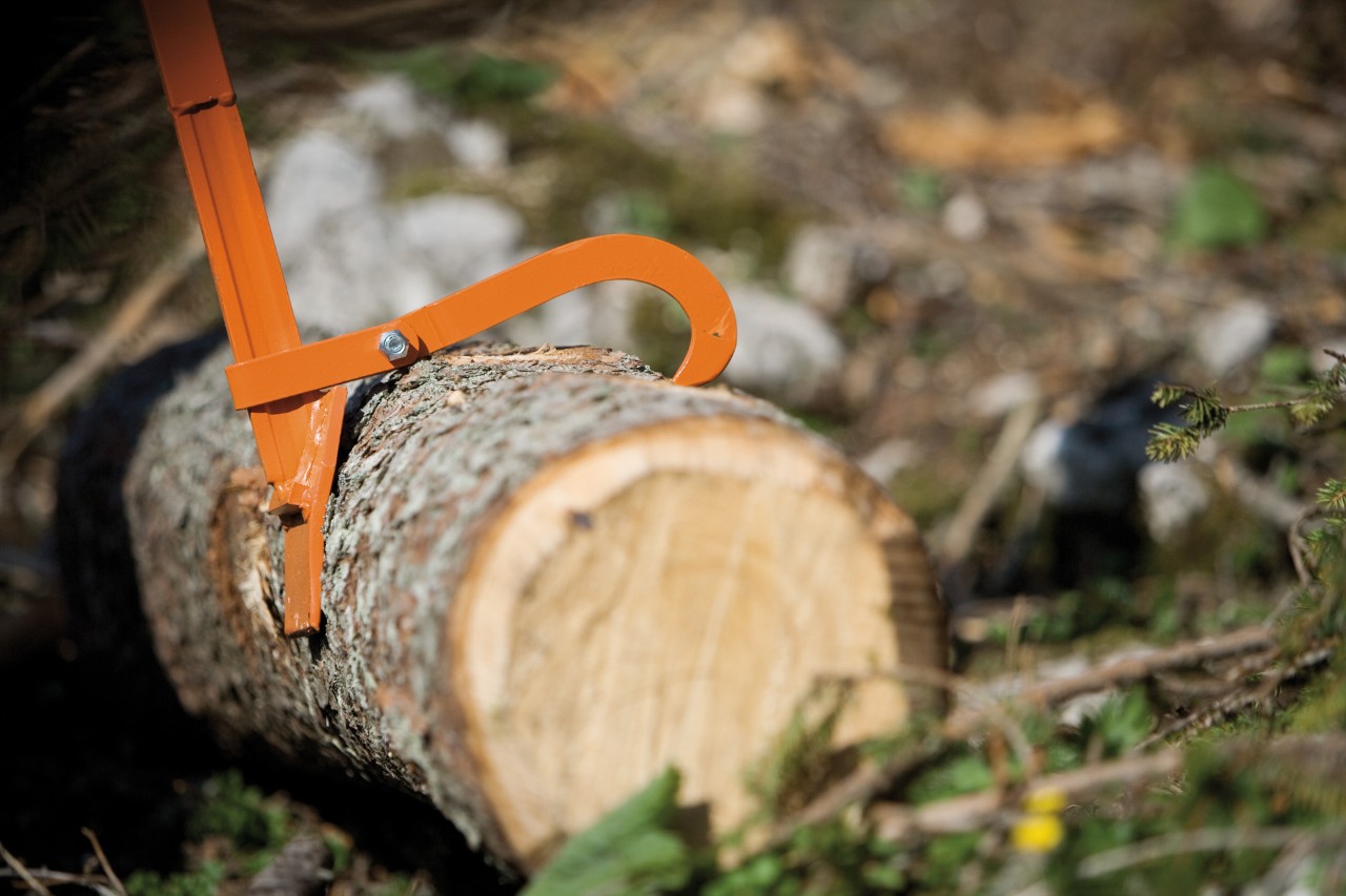  Ένας λοστός ρίψης δέντρων STIHL συγκρατεί κορμό δέντρου στο δάσος